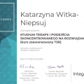 Powiększ obraz: certificate 4