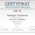Powiększ obraz: certificate 10