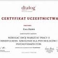 Powiększ obraz: certificate 27