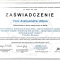 Powiększ obraz: certificate 1