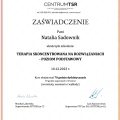 Powiększ obraz: certificate 3
