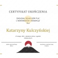 Powiększ obraz: certificate 1
