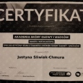 Powiększ obraz: certificate 11
