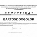 Powiększ obraz: certificate 2