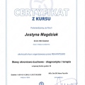 Powiększ obraz: certificate 9