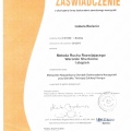 Powiększ obraz: certificate 1