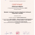 Powiększ obraz: certificate 31