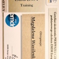 Powiększ obraz: certificate 4