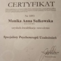 Powiększ obraz: certificate 1