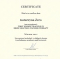 Powiększ obraz: certificate 2