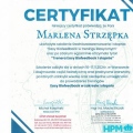 Powiększ obraz: certificate 2