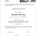 Powiększ obraz: certificate 6