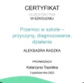 Powiększ obraz: certificate 1
