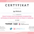 Powiększ obraz: certificate 9