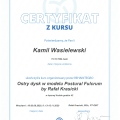 Powiększ obraz: certificate 13