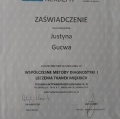 Powiększ obraz: certificate 3