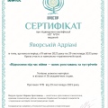 Powiększ obraz: certificate 9
