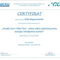 Powiększ obraz: certificate 8