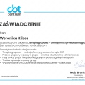 Powiększ obraz: certificate 3