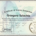 Powiększ obraz: certificate 7