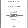 Powiększ obraz: certificate 5