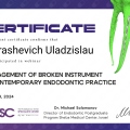 Powiększ obraz: certificate 12
