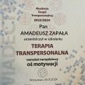 Powiększ obraz: certificate 35