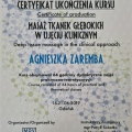 Powiększ obraz: certificate 8