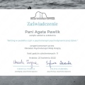 Powiększ obraz: certificate 8