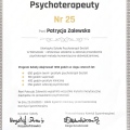 Powiększ obraz: certificate 1