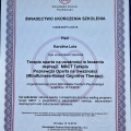 Powiększ obraz: certificate 2