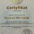 Powiększ obraz: certificate 1