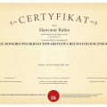 Powiększ obraz: certificate 2