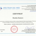 Powiększ obraz: certificate 1