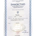 Powiększ obraz: certificate 11