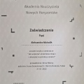 Powiększ obraz: certificate 11