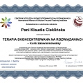 Powiększ obraz: certificate 1
