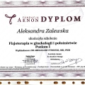 Powiększ obraz: certificate 7