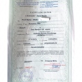 Powiększ obraz: certificate 9