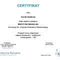 Powiększ obraz: certificate 3