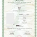 Powiększ obraz: certificate 10