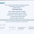 Powiększ obraz: certificate 6