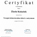 Powiększ obraz: certificate 6