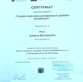 Powiększ obraz: certificate 4