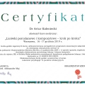 Powiększ obraz: certificate 3