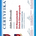 Powiększ obraz: certificate 3