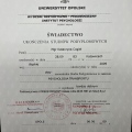 Powiększ obraz: certificate 10