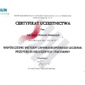 Powiększ obraz: certificate 3