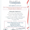 Powiększ obraz: certificate 3