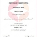 Powiększ obraz: certificate 5